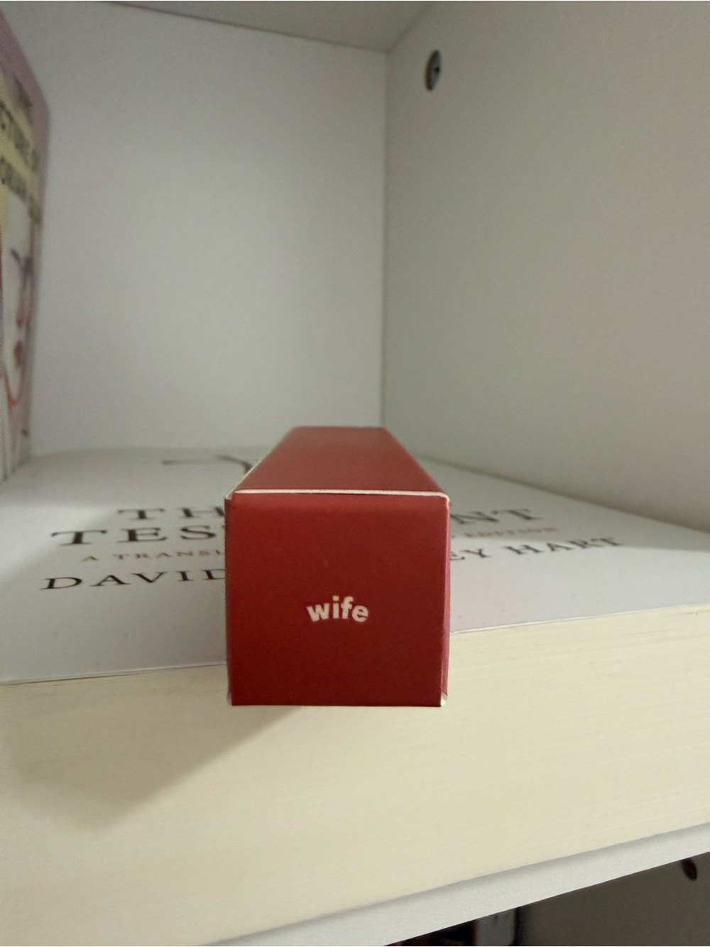 NIB Sunnies Face Fluffmatte [Weightless Modern Matte Lipstick] in WIFE - Picture 3 of 4